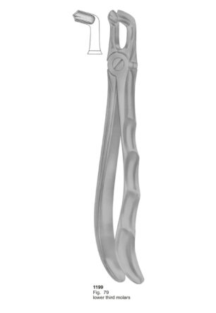 Lower Third Molars