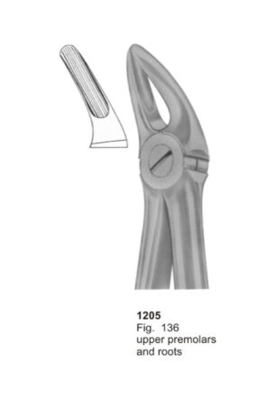 Upper Premolars and Roots