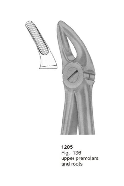 Upper Premolars and Roots