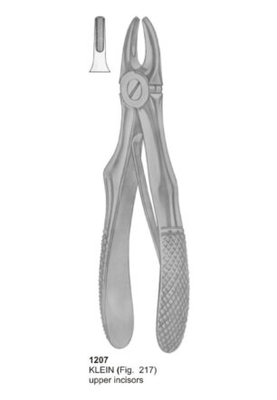 KELIN, Upper Incisors