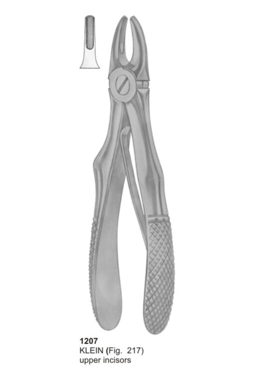 KELIN, Upper Incisors