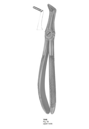 Upper Roots