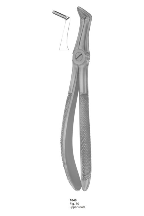 Upper Roots