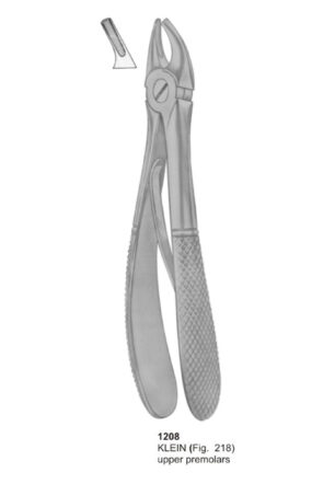 KELIN, Upper Premolars