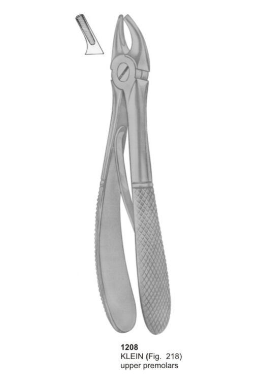 KELIN, Upper Premolars