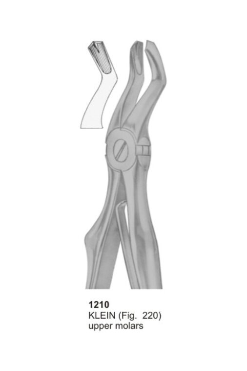 KELIN, Upper Molars