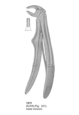 KELIN, Lower Incisors