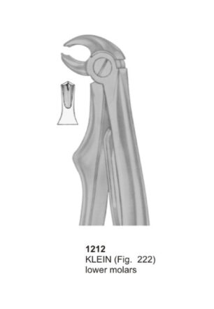 KELIN, Lower Molars