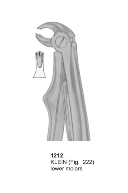 KELIN, Lower Molars