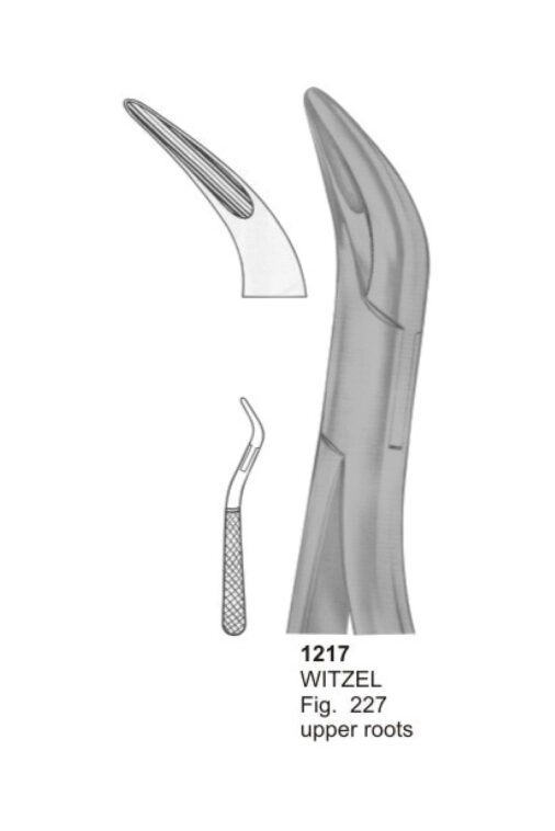 WITZE, Upper Roots