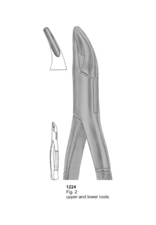 Upper and Lower Roots