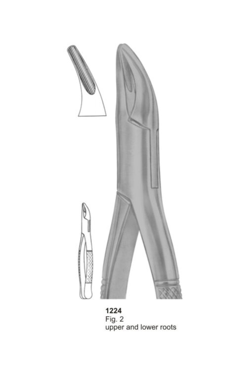 Upper and Lower Roots