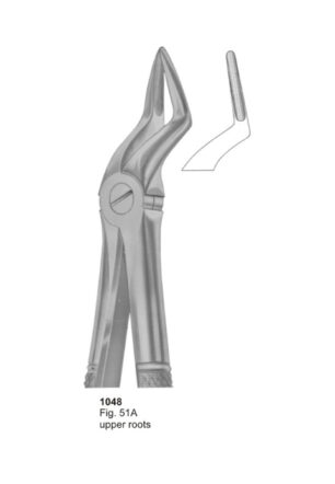 Upper Roots