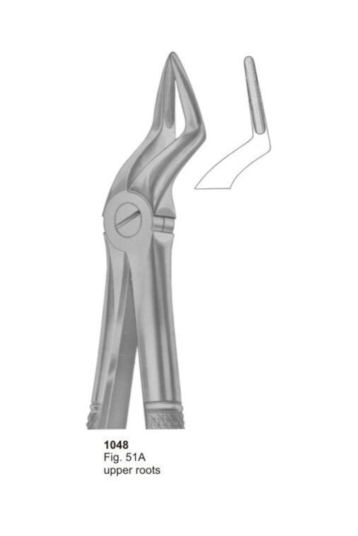 Upper Roots