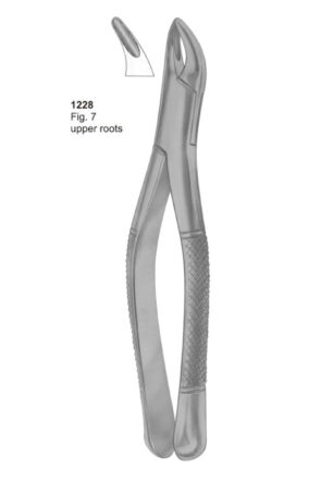 Upper Roots