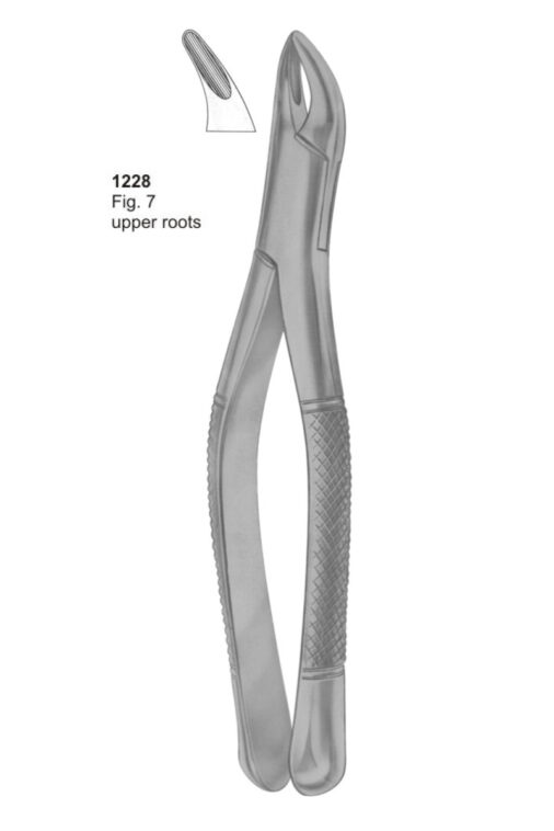 Upper Roots