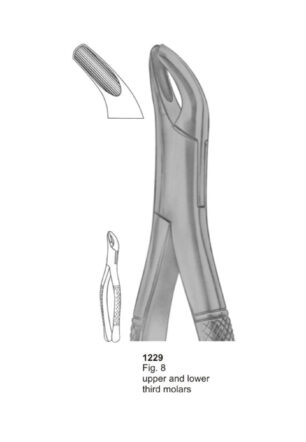 Upper and Lower Third Molars