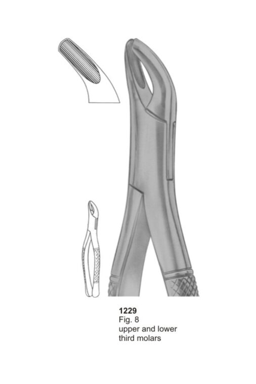 Upper and Lower Third Molars