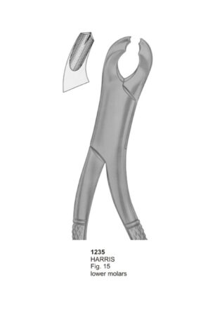 HARRIS, Lower Molars