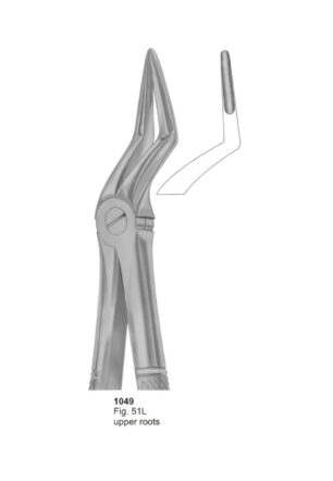 Upper Roots