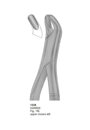 HARRIS, Upper Molars Left