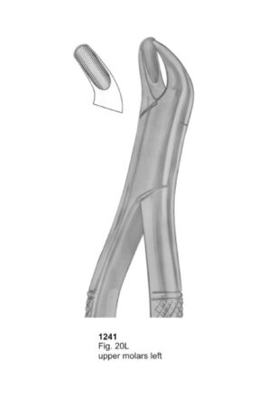 Upper Molars Left