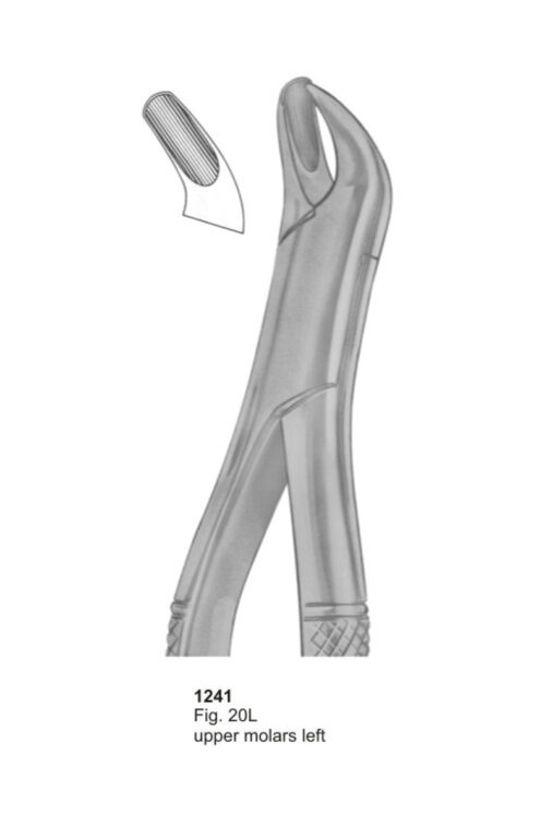 Upper Molars Left