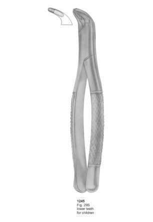 Lower Teeth For Children