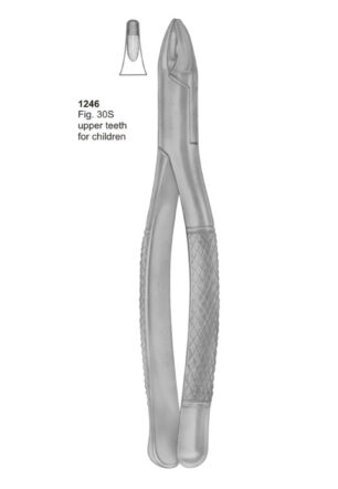 Upper Teeth For Children