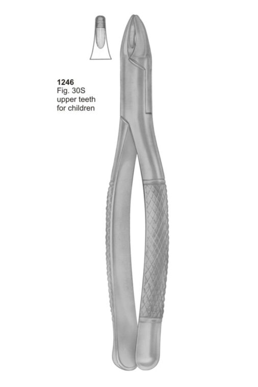 Upper Teeth For Children