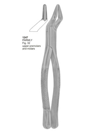PARMLY, Upper Premolars and Molars