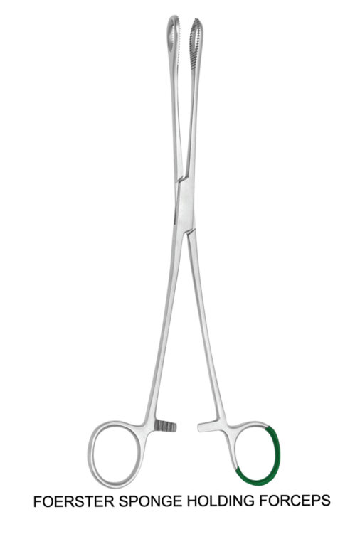 FOERSTER SPONGE HOLDING FORCEPS