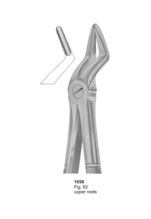Upper Roots