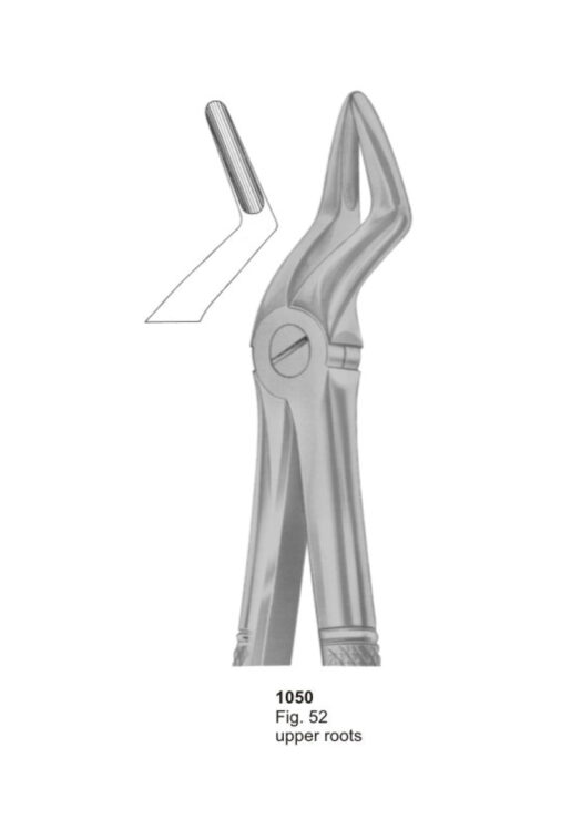 Upper Roots