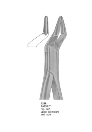 PARMLY, Upper Premolars and Roots
