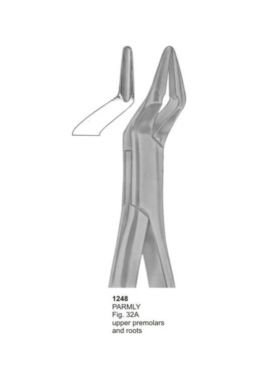 PARMLY, Upper Premolars and Roots