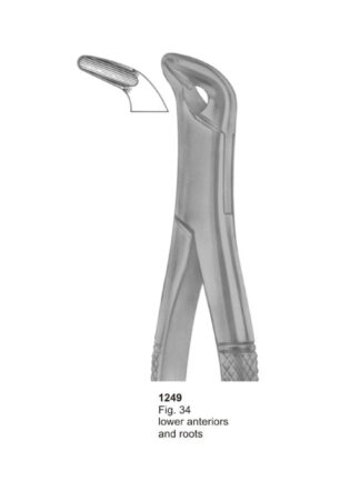 Lower Anteriors and Roots