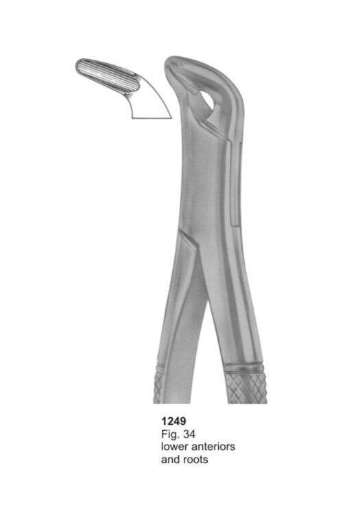 Lower Anteriors and Roots