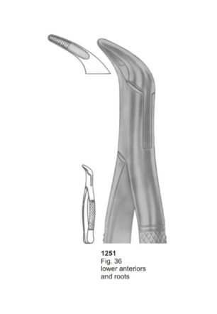 Lower Anteriors and Roots