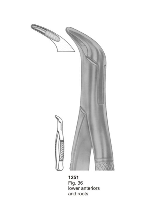 Lower Anteriors and Roots