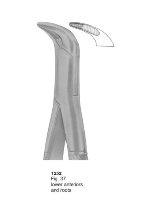 Lower Anteriors and Roots