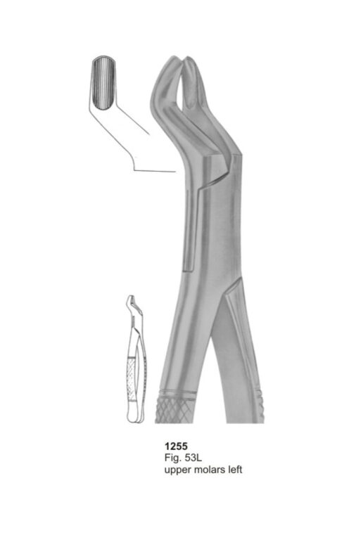 Upper Molars Left