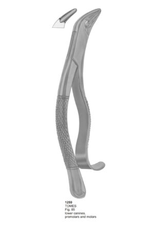 TOMES, Lower Canines, Premolars and Molars