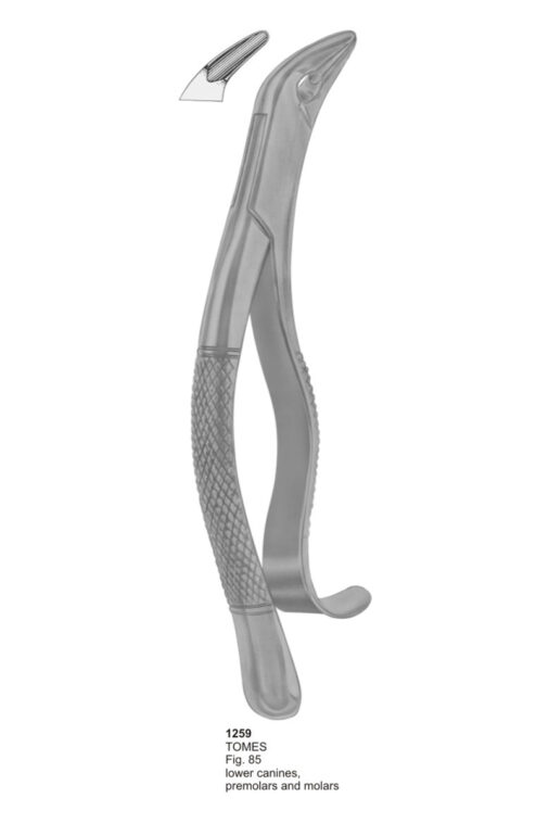TOMES, Lower Canines, Premolars and Molars
