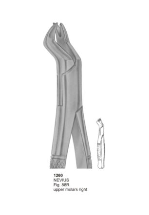 NEVIUS, Upper Molars Right