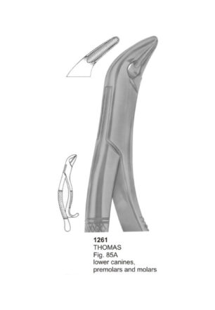 THOMES, Lower Canines, Premolars and Molars