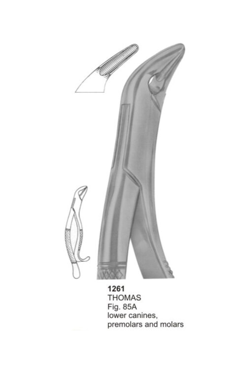 THOMES, Lower Canines, Premolars and Molars