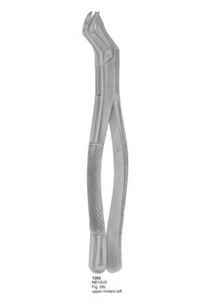 NEVIUS, Upper Molars Left