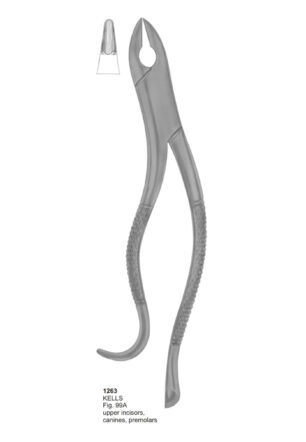 KELLS, Upper Incisors, Canines, Premolars