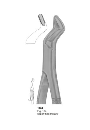Upper Third Molars